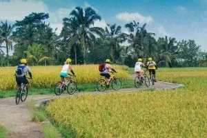 balioceansurf-ecole-francaise-vtt-tour-partners